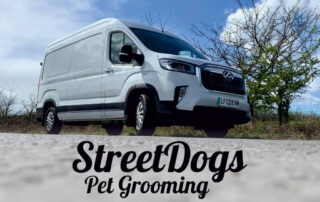 A image for street dogs pet grooming with the brand name in black font with a transit van above it