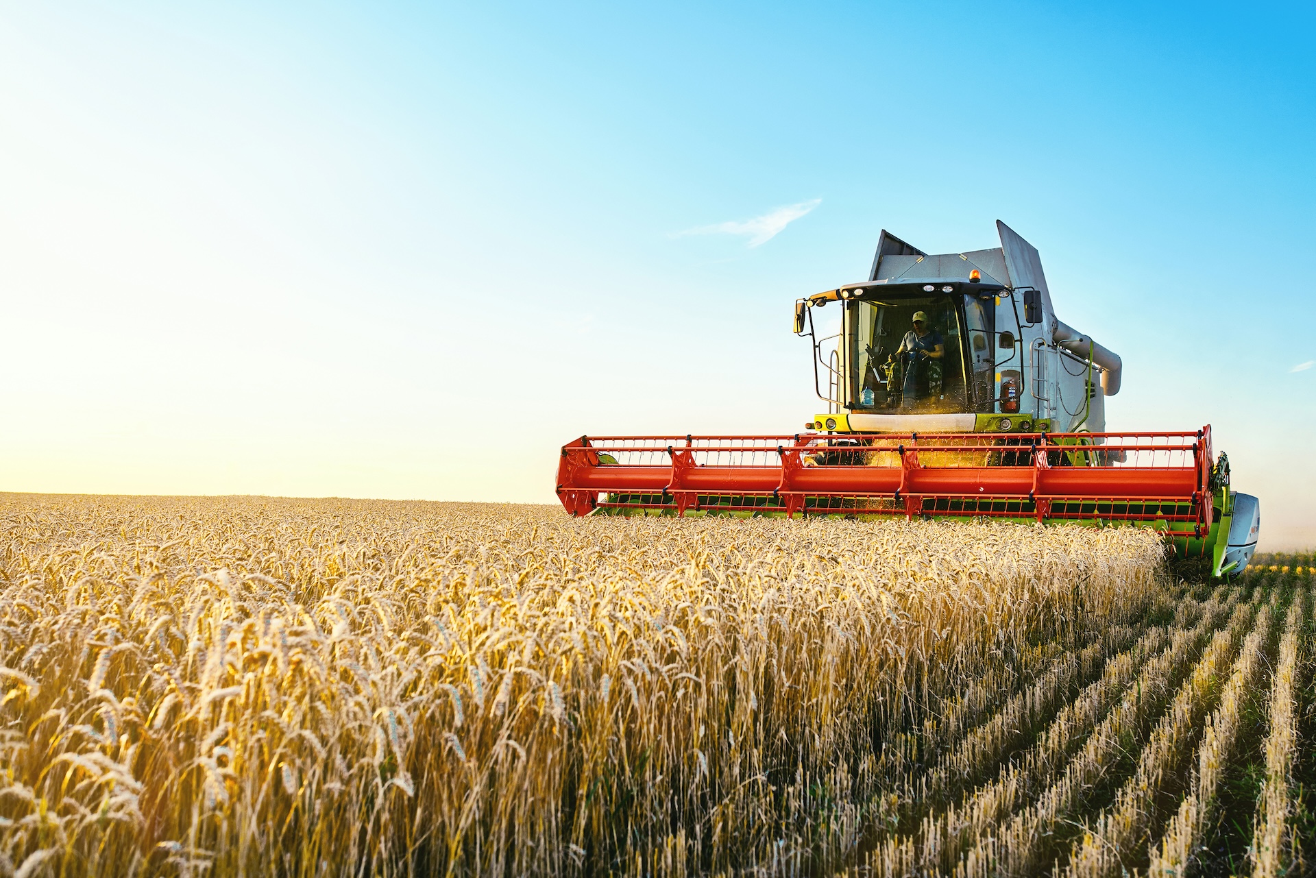 A combine harvester working in a field on a sunny summers day